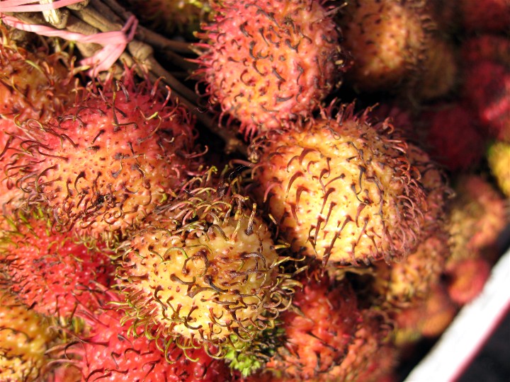 prickly-fruit